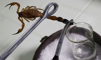 Đột phá trong y học hỗ trợ đắc lực cho bệnh nhân ung bướu - Nguồn báo 24h